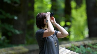 A Quick Guide to Bird Watching in Your California RV Rental